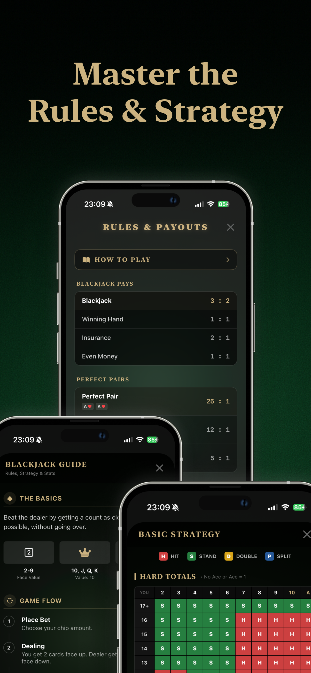Blackjack Screenshot 8